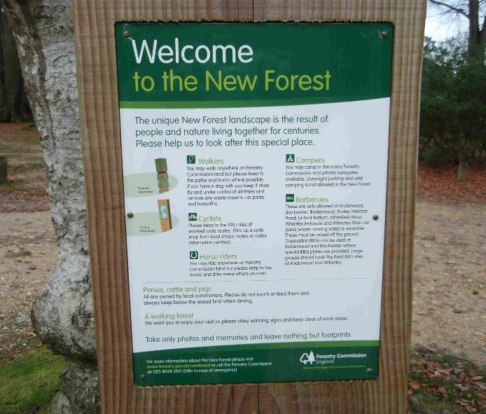 New Forest information board